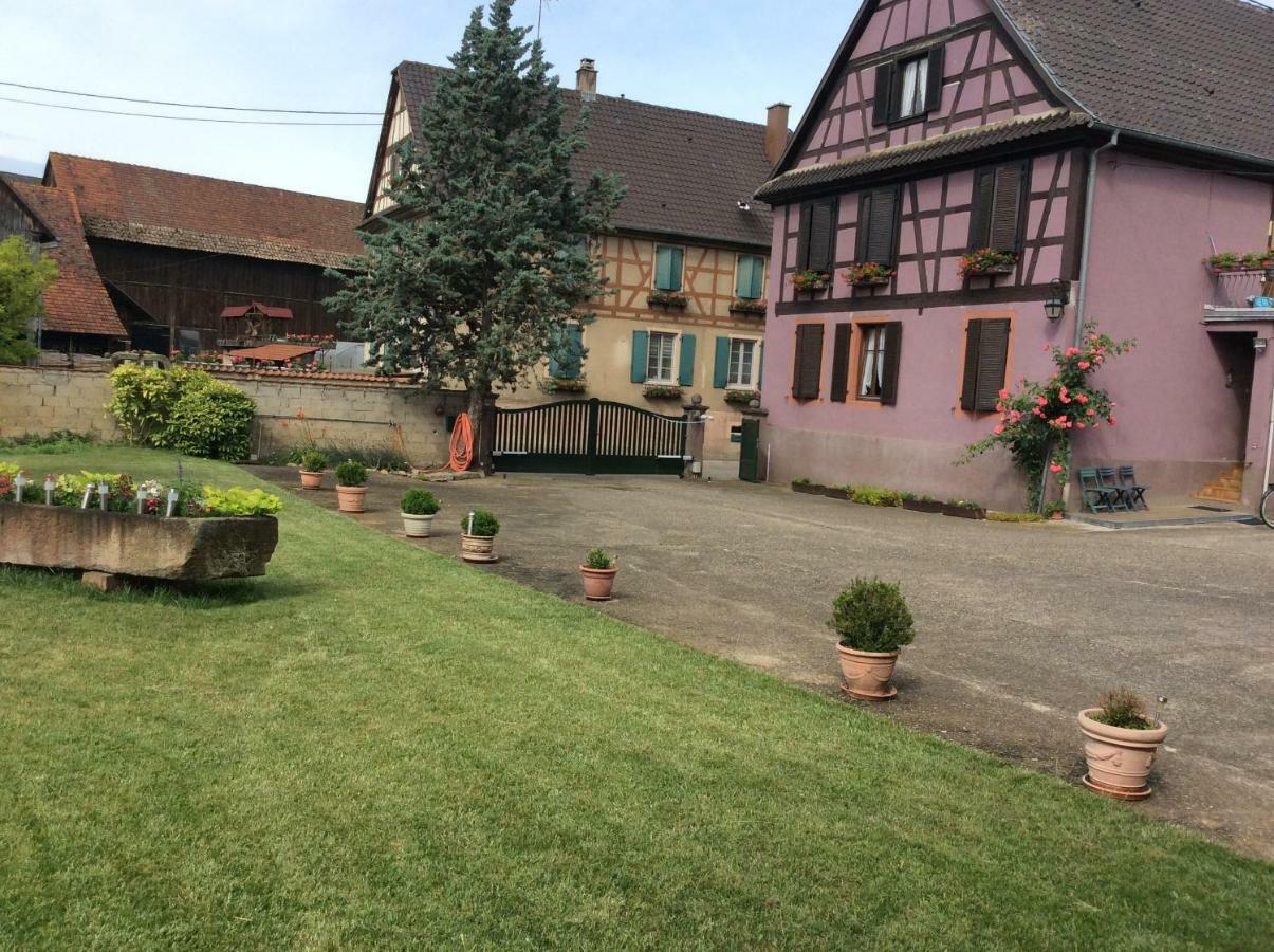 Gite Heinrich Ebersheim Zewnętrze zdjęcie